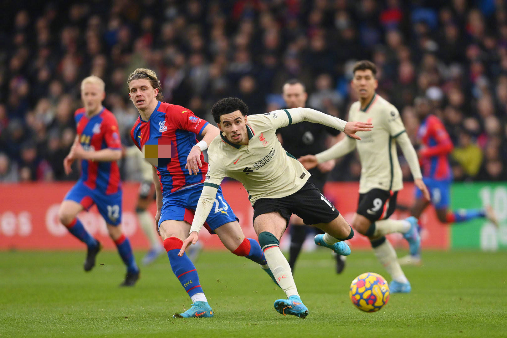 高诗岩的组 高诗岩的组